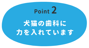【Point 2】犬猫の歯科に力を入れています