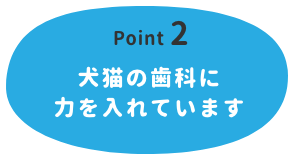 【Point 2】犬猫の歯科に力を入れています