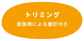 トリミング（獣医師による健診付き）