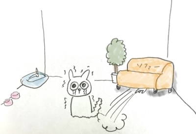 ケージはなぜ必要なのでしょうか? - ポラン動物病院