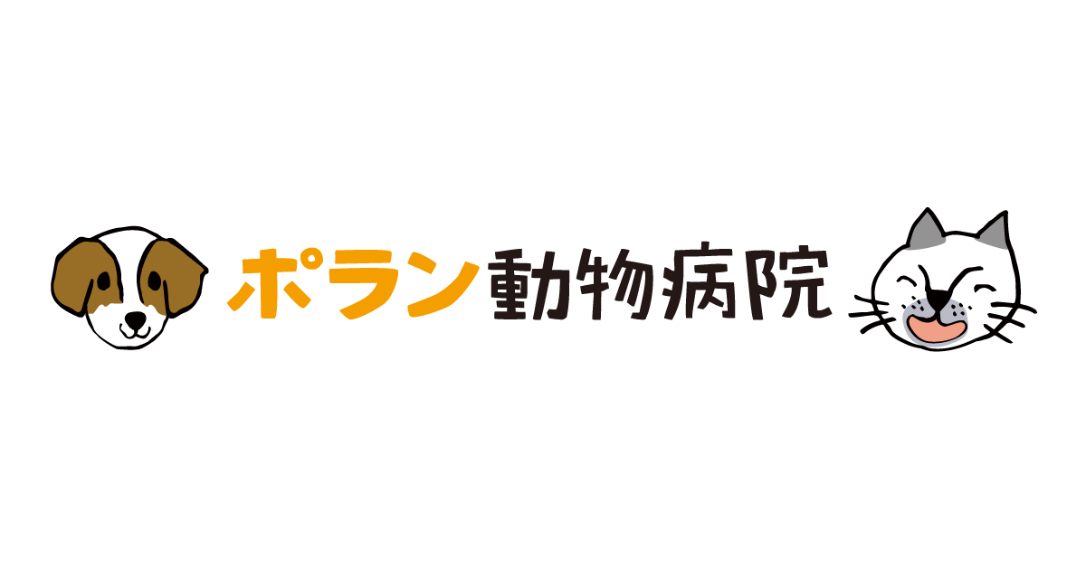 バーベキュー 下位 きれいに ミズノ 動物 クリニック インスタ グラム brightnews.jp