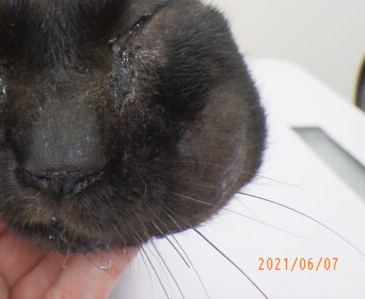 CF25AF4A-9366-4AE0-86C6-